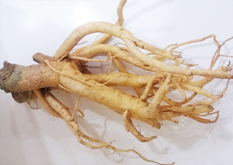 hanvatalina-hoat-huyet-duong-nao-3 hanvatalina-hoat-huyet-duong-nao-3