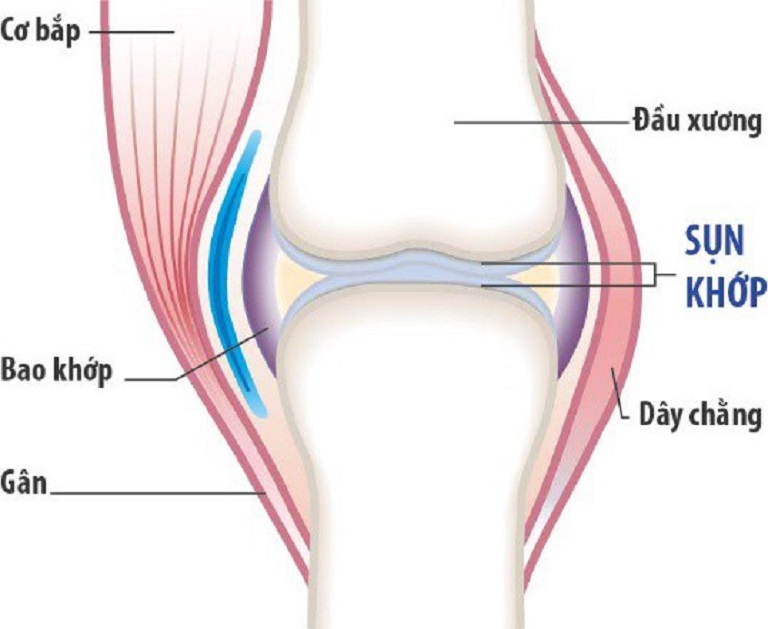 hami-glucosamine-1