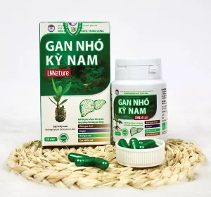 Gan nhó kỳ nam Gan nhó kỳ nam